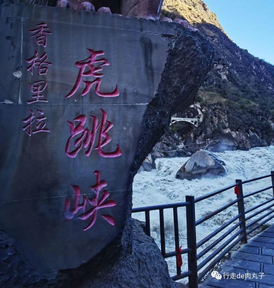 丛林之决战