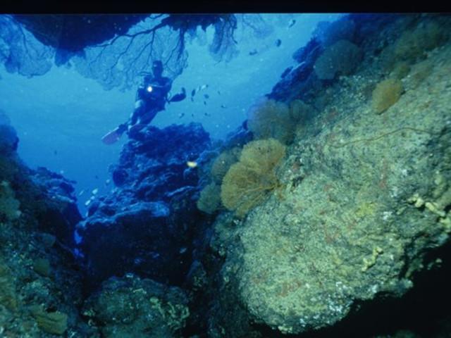 皮特森空砍60分 吉林东北虎男篮主场111-116不敌广东男篮